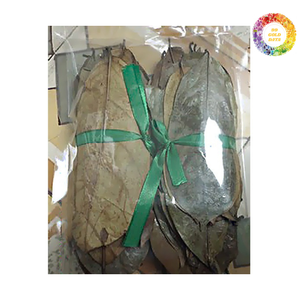 Hojas de Guanábana cultivadas en Vietnam-100% Graviola natural Seca bajo la luz del sol para preservar el aroma y las propiedades - Product Image 1