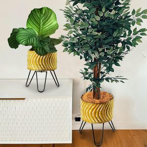 Mid Century Modern Planter with Matt Black Gold Finish for a Wide Variety <b>Plants</b> from Ornamental Flowers Edible Herbs Garden Use - Product Image 5