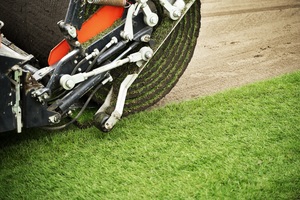 เมล็ดพันธุ์หญ้าเฟสคิวพันธุ์พรีเมียม หญ้าฟัสตูคา อารันดิเนเซีย (แกรนดิตต์ ดีแอลเอฟ) คุณภาพสูง โตเร็ว - Product Image 2