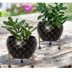 Jardinière en métal moderne pour jardinage intérieur et extérieur, salon, hôtel, restaurant, balcon, finition noire, support doré - Product Image 4