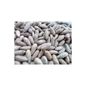 Graine Hookeri de qualité supérieure disponible en vrac pour les acheteurs et exportateurs grossistes - Product Image 1