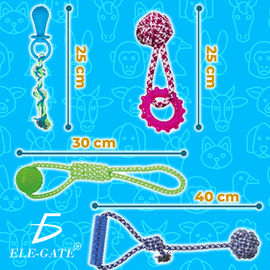 Set di 4 Giocattoli a Molla Originali con Massaggiagengive in Silicone - Product Image 2