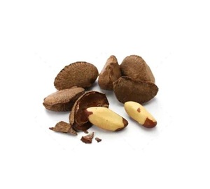 Nueces de Brasil Frescas de Primera Calidad para Exportación a Granel - Product Image 2