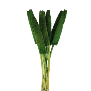 Cônes de fleurs décoratifs Cônes de Noël Décoration de mariage Fleurs artificielles Meilleur vendeur - Product Image 5