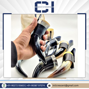 Distributeur en vrac offrant 100% corne à boire Viking naturelle fabriquée à la main corne de bière polie à bas prix - Product Image 3