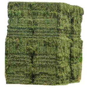 Premium alfalfa hay supplied in large bales for wholesale buyers at factory price for Sale - Product Image 1