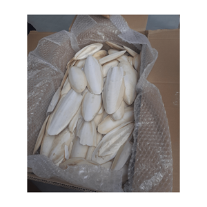 Top Vente Vietnamien Séché Naturel Blanc Os De Seiche Oiseau Nourriture Calmar Os Seiche Os De Poisson Supplément Nutritionnel pour L'alimentation - Product Image 4