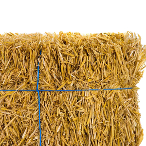 หญ้าโรดิสสดฟางอัดฟางคู่คุณภาพการส่งออกสําหรับทุกประเทศจัดส่งที่มีอยู่ - Product Image 3