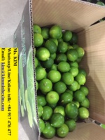 Lima fresca sin semillas Limón 84 917476477 Embalaje estilo Vietnam 7 Kg por caja con color verde Natural Sour T/T, L/C 15 días 4 up Cm