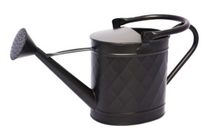 Contemporary Designer Metal Watering Can with Soft Grey Finishing Great for Houseplants <b>Herbs</b> and Small Indoor <b>Pots</b> - Product Image 4