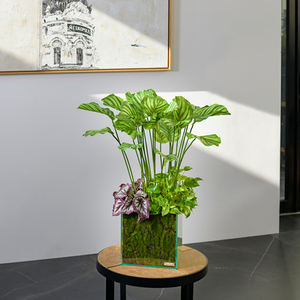 Grandes plantes artificielles d'intérieur et d'extérieur de luxe Mini arbre décoratif vert Jardin Collection de verdure en gros - Product Image 5