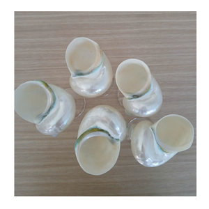 Coupe d'escargot Coupe de coquillages Convient aux concepts de conception nautique Coupe d'escargot Idéal pour l'art intérieur créatif - Product Image 3