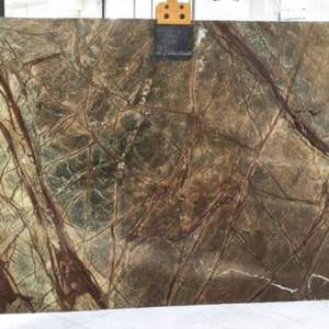 Losas modernas de mármol claro marrón selva tropical en varios colores superficie impermeable pulida para decoración de pared y suelo de Hotel - Product Image 6