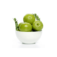 Fournisseur en gros de poudre de fruit d'Amla sauvage naturelle de qualité supérieure à bas prix, poudre d'Amla Reetha Shikakai