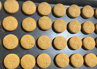 Machine automatique de fabrication de petits biscuits Chengtao pour usine