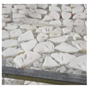 Guanábana Seca, Fruta Tropical Masticable con Sabor Dulce y Ácido, Textura Suave, Ideal para un Snack Premium - Product Image 3