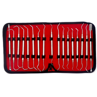 Kit d'instruments chirurgicaux pour implants dentaires Surtechs Manual Sinus Lift, 17 pièces, certifié CE, poignée ergonomique, classe I