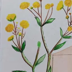 Diario hecho a mano Premium Un diario artesanal sofisticado para preservar tus pensamientos Expresiones creativas - Product Image 1