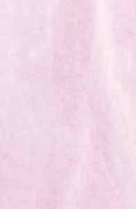 Veste en jean pour femmes sur mesure Veste en jean pour femmes Veste en jean simple d'hiver en coton rose pour femmes de grande taille - Product Image 4