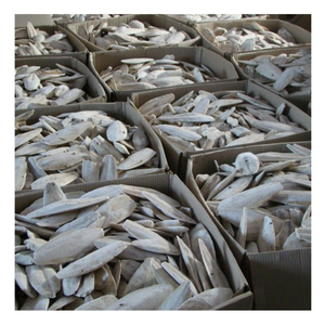 ค้นพบความมหัศจรรย์ของกระดูกปลาหมึก: จากมหาสมุทรสู่บ้านกระดูกปลาหมึกมอบโภชนาการตามธรรมชาติและวิธีแก้ปัญหาที่ยั่งยืน - Product Image 1