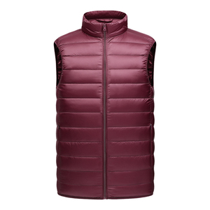 Nouveau Style à la mode col montant fermeture éclair sans manches sport gilet 100% Nylon coupe-vent doudoune personnaliser imprimé hommes Streetwear - Product Image 1