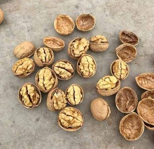 Quả Óc Chó Chất Lượng Tốt Nhất Bán Quả Óc Chó Thực Phẩm Lành Mạnh Tự Nhiên 100% Chất Lượng Tốt Có Sẵn - Product Image 6