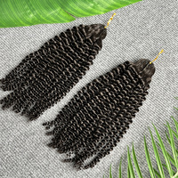 Extensions de cheveux humains bouclés crépus pour tresses au crochet, style Passion Twist, invisibles, sans nœuds, pré-bouclées, effet plume