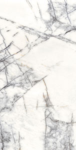 Beau modèle céramique et porcelaine 600X1200mm de conception européenne fabriquant en Inde pour la salle de conférence. - Product Image 2