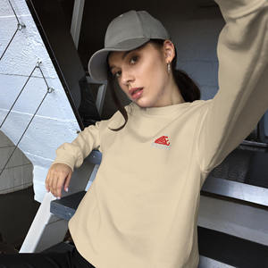 2025 personalizado Regular Fit 100% algodón invierno sudadera Streetwear pulóver hombres mujeres Gymwear Boutique moda marca OEM fábrica - Product Image 2