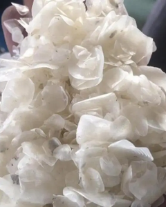 ORIGEN VIETNAMITA / ALTA CALIDAD PARA EXPORTACIÓN / ESCAMAS DE PESCADO SECAS - Product Image 5