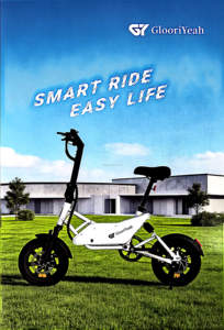 Bicicleta Eléctrica Urbana Electric City de 350W 36V con Batería Extraíble, Frenos de Disco Delanteros y Traseros Shimano y Suspensión - Product Image 3