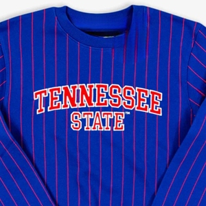 Tennessee State University Custom HBCU Sudadera Premium Unisex College Apparel 100% Algodón OEM Logo Puff Diseño de impresión - Product Image 2