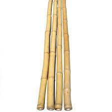 Bastón de bambú de alta calidad Material de bambú natural ecológico al por mayor de Vietnam Exportación directa de fábrica - Product Image 2