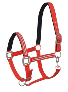 Halter de caballo Amaz en gran oferta Halter de nailon de caballo con diamantes de imitación de lujo y otros accesorios personalizados según los requisitos - Product Image 6