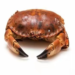 Wholesale Price Best Selling Fresh Blue <strong>Crab</strong> with Cutting &amp; Roe Shipping to Be Negotiated - Product Image 4