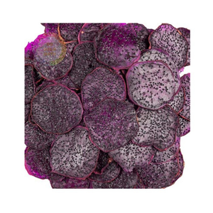 Fruits du dragon séchés de 99 Gold Data Vietnam pour les mélanges de salade de fruits et les collations emballées fruits du dragon séchés en tranches - Product Image 3