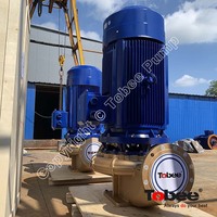 Pompe verticale centrifuge en ligne en Bronze pour l'eau de mer, utilisée pour les usines de traitement de l'eau de mer pour la solution de dessalement de l'eau de mer