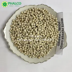 WHOLESALE VIETNAM WHITE PEPPER FOR EXPORT GOOD QUALITY