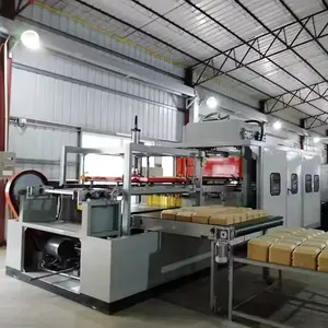 Linha de produção plástica da bandeja do alimento do PLA de termoformagem Folha biodegradável que faz a máquina