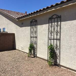 Treillis de jardin en métal, construction robuste et écologique, supportant les vignes lourdes, la croissance des fleurs, jardin extérieur, plante naturelle - Product Image 4