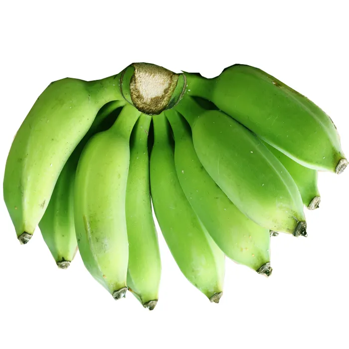 Bananas Cavendish tropicales verdes frescas de alta calidad listas para la exportación