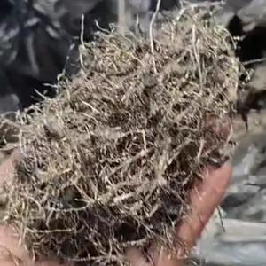 Alambre de acero cortado reciclado OEM a granel de chatarra de neumáticos | Venta al por mayor de material limpio y libre de óxido para exportación y uso industrial - Product Image 2