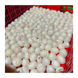 Lichi congelado de primera calidad, recogido a mano y empaquetado con cuidado, ideal para helados, batidos y recetas de mezcla de frutas. - Product Image 6