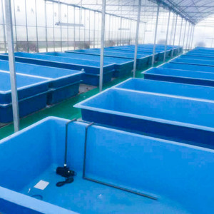 Sistema de acuicultura Ras Equipo de estanque de peces de Interior para piscifactoría, sistemas de filtración de agua de Interior para camarones - Product Image 1