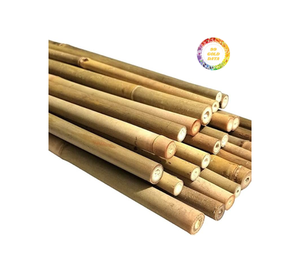 Poteaux de bambou secs et jaunes naturels droits de taille personnalisée de haute qualité pour la construction, la décoration et la culture de la maison - Product Image 2