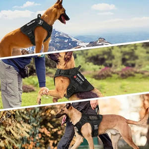 แผ่นปักผ้าเชนิลล์สำหรับเสื้อผ้า แจ็คเก็ต หมวก กระเป๋า ชุดยูนิฟอร์ม งานฝีมือ DIY ออกแบบเองได้ ติดเย็บ - Product Image 4