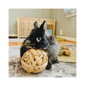 Juguete de Jacinto de Agua Natural en Forma de Pelota para Hámster, Chinchilla y Cobaya - Product Image 3