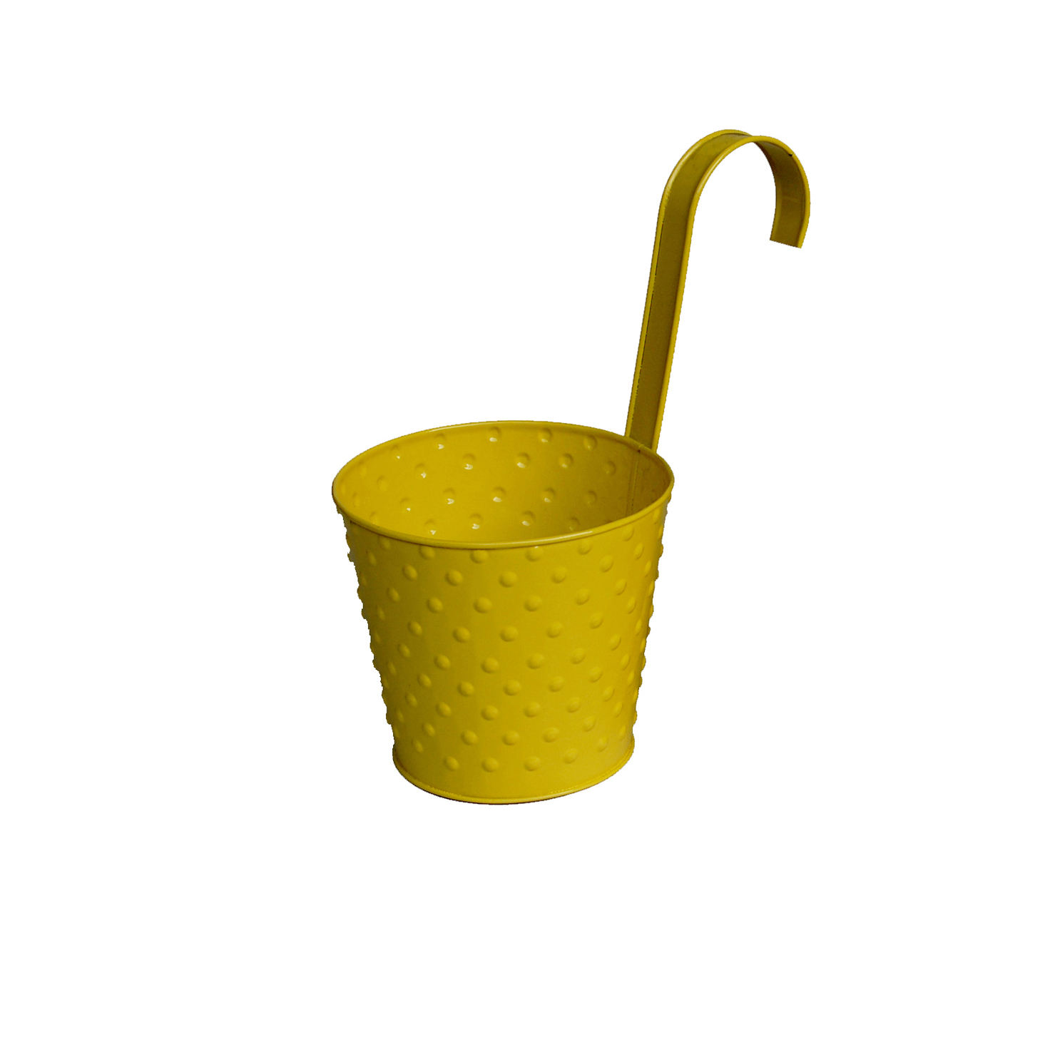 ตามที่แสดง