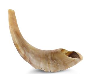 Corne de bélier biblique traditionnelle Shofar artisanat naturel exportateurs indiens et fournisseurs de gros - Product Image 1