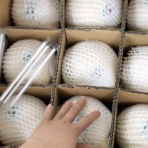 Cocos jóvenes frescos de alta calidad en forma de diamante naturalmente dulce para el verano de 2017 - Product Image 4